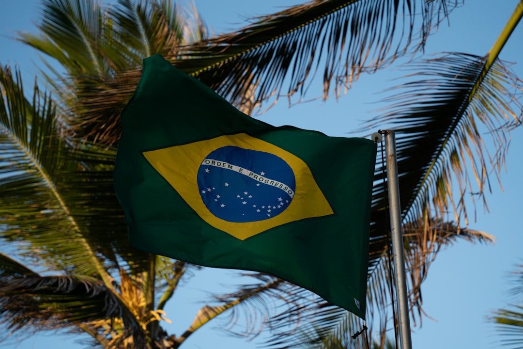 p2p brasil riscos - unlike traditional