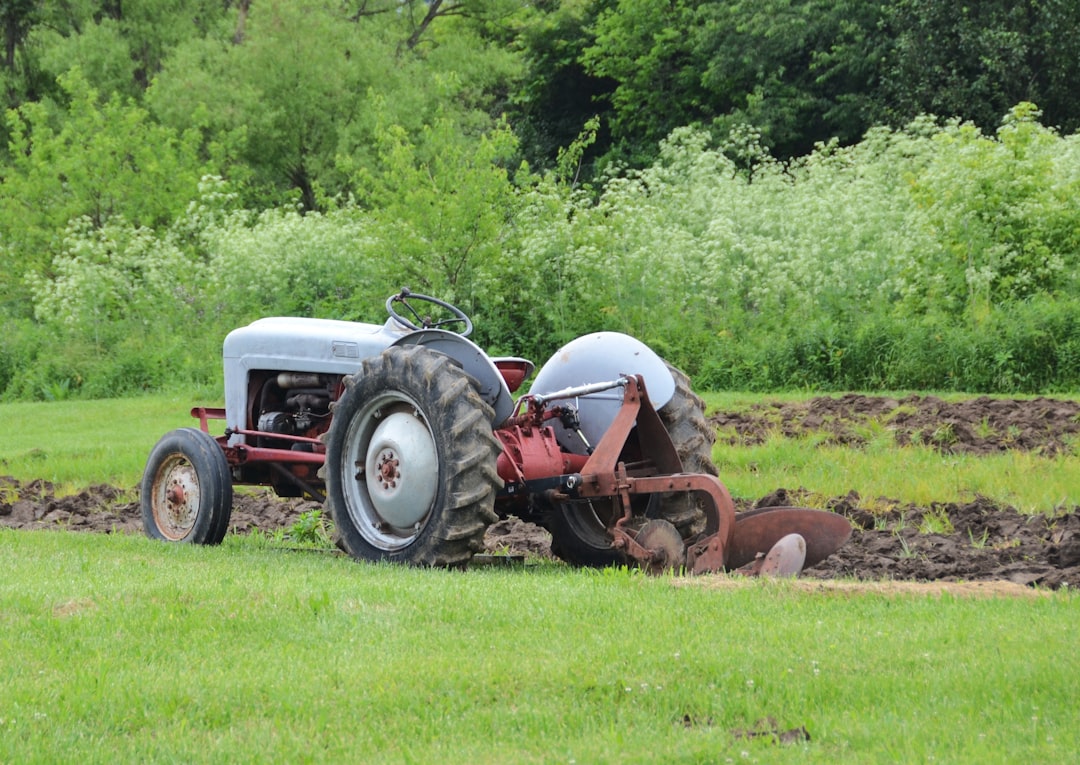 Como delegar a sua estratégia de farming a um especialista - although farming