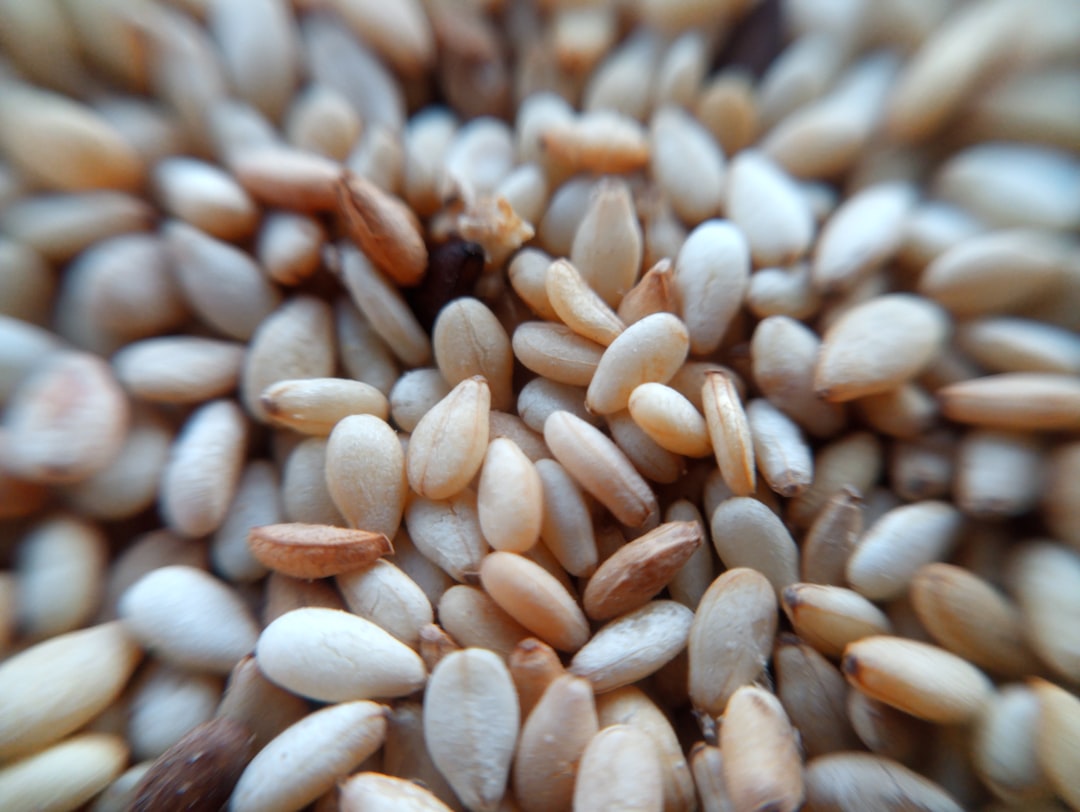 Seed Phrase - Seed Phrase: O Guia Definitivo para Segurança, Armazenamento e Uso em Criptomoedas