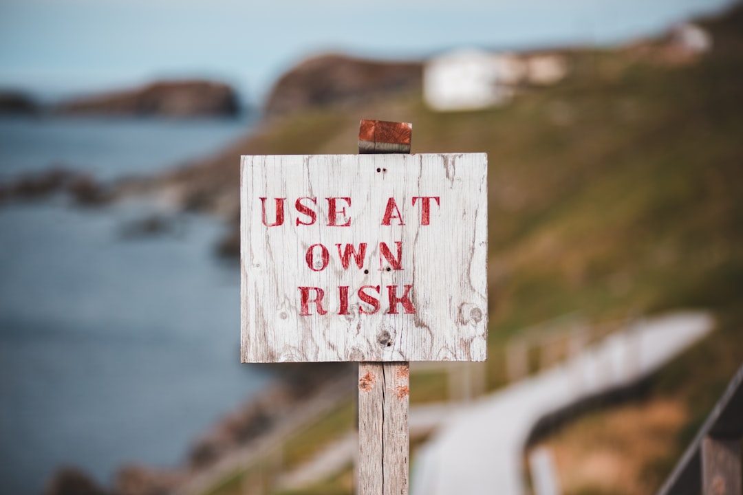 copy trading riscos - while there copy trading riscos - while there