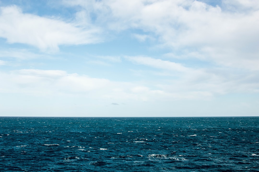 Mercados de dados descentralizados (Ocean Protocol) - companies looking