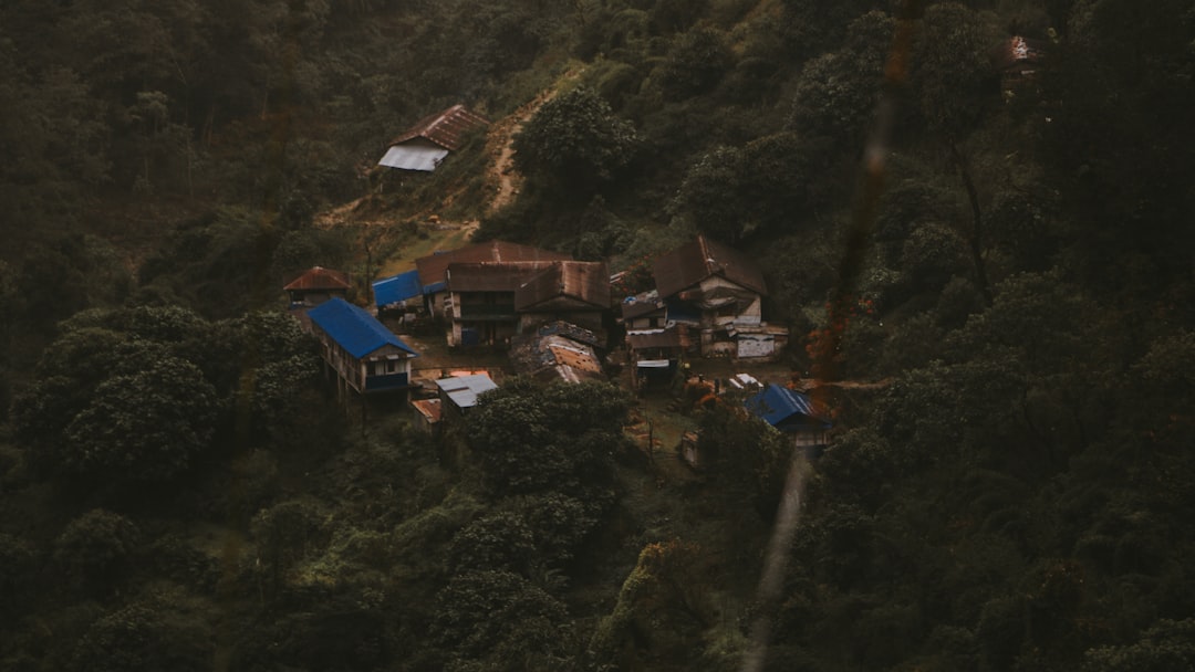 Comunidade e valor de um projeto - Comunidade e Valor de um Projeto: Como Construir e Sustentar Projetos Cripto de Sucesso
