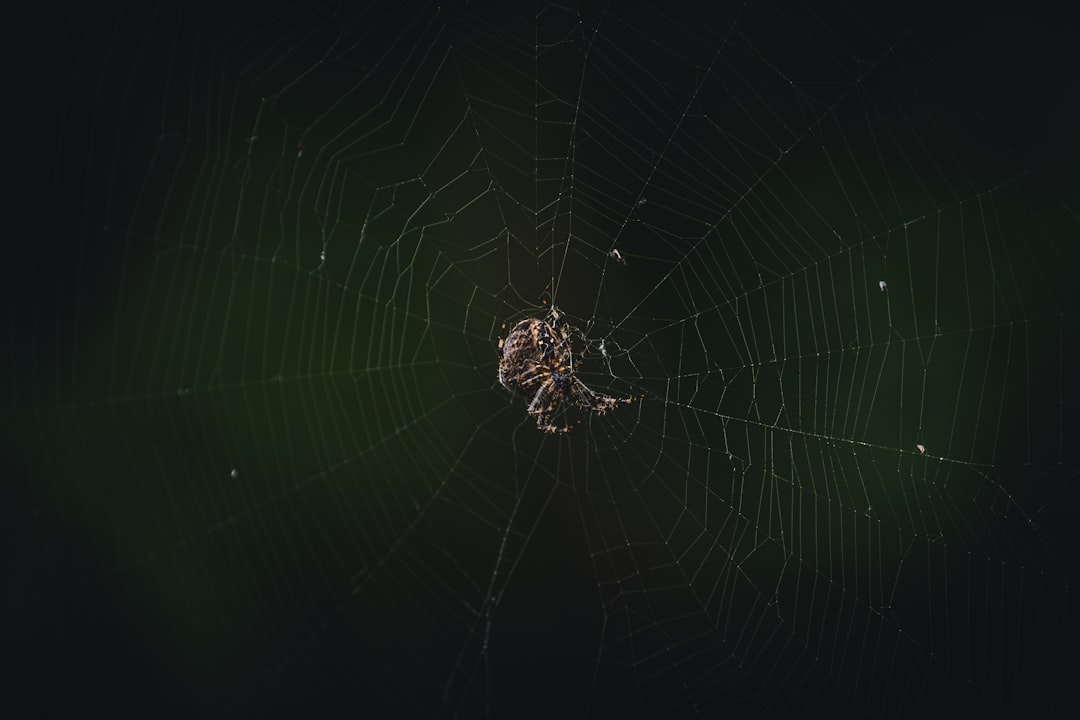 Transição da Web2 para a Web3 - there size