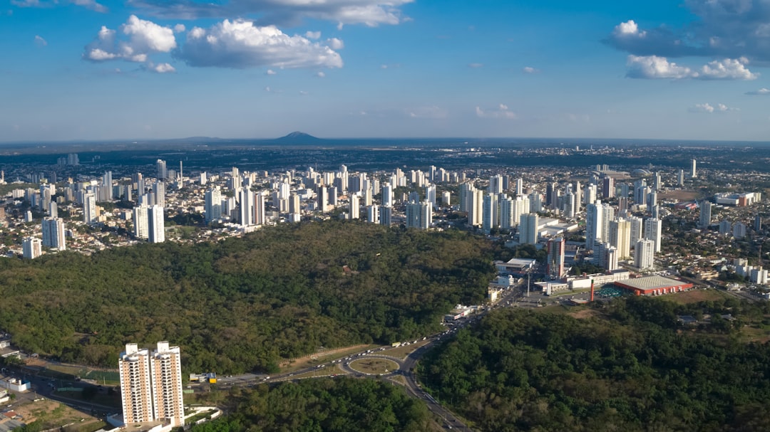 asian options - brazilian operating
