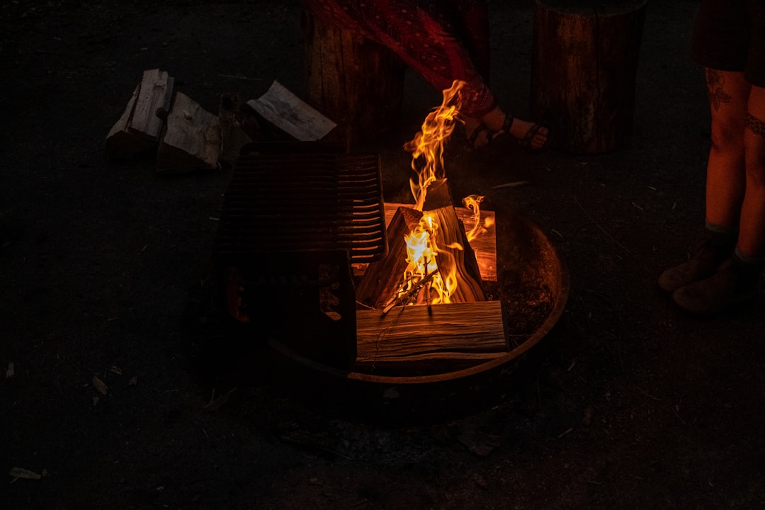 Queima - Queima de Tokens: O Guia Definitivo para Entender, Avaliar e Aproveitar Essa Estratégia no Mercado Cripto