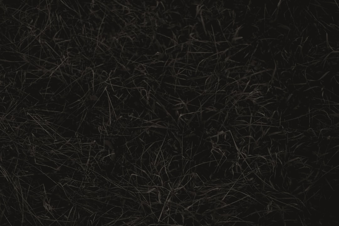 节点 - Node (Nó) em Blockchain: Guia Completo 2025 – O que são, tipos e como funcionam