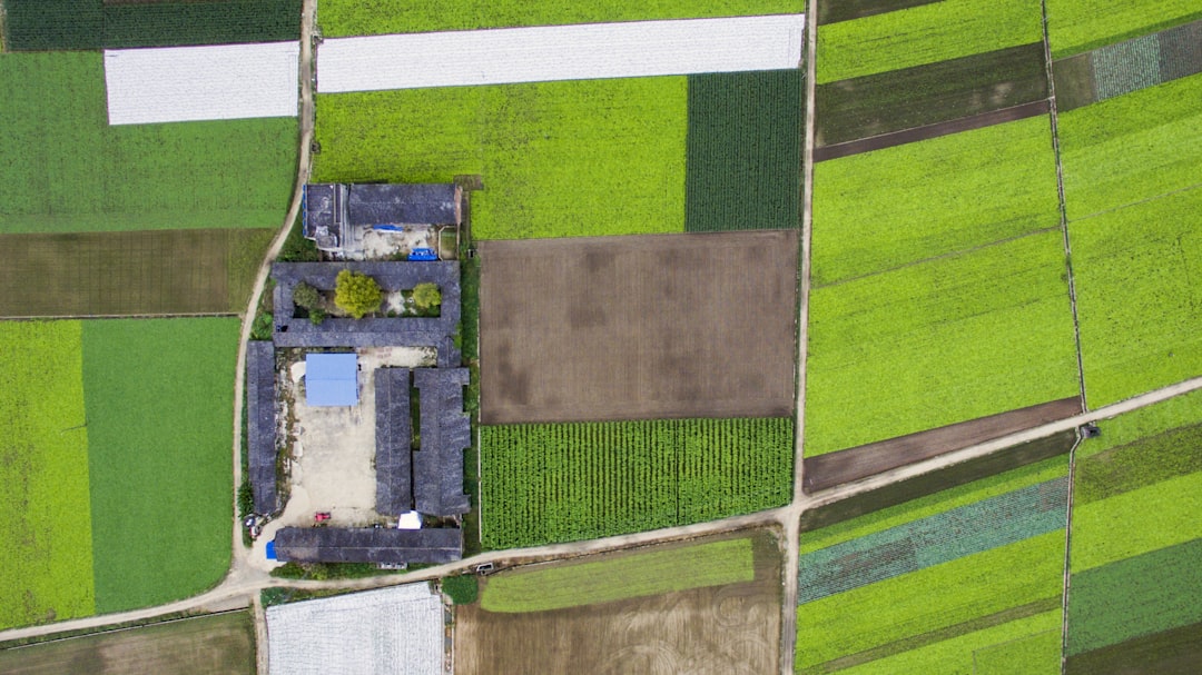cryptovoxels - buying land