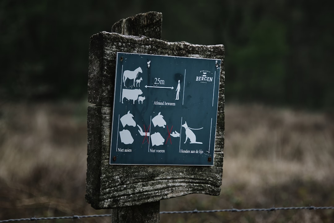 Dogwifhat (WIF) - Dogwifhat (WIF): Guia Completo, Estratégias e Perspectivas para Investidores no Brasil