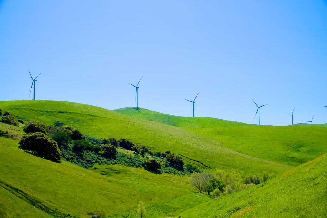 Criptomoedas verdes - energy governments