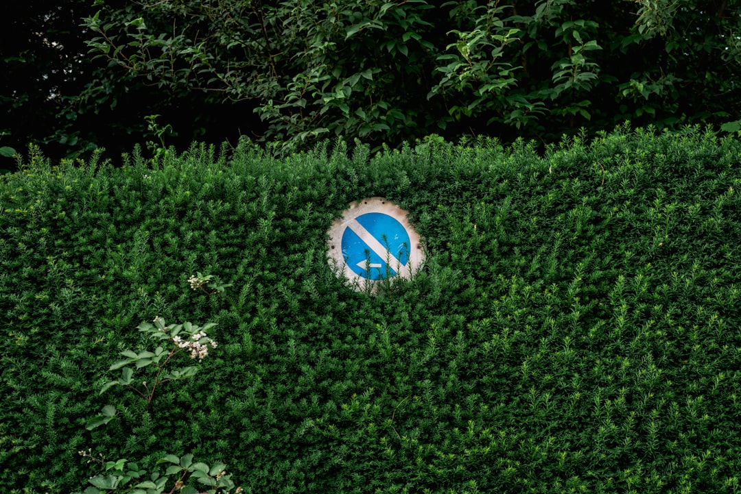 Como especular ou fazer hedge contra as mudanças nas taxas de juro de empréstimos - Como especular ou fazer hedge contra as mudanças nas taxas de juro de empréstimos