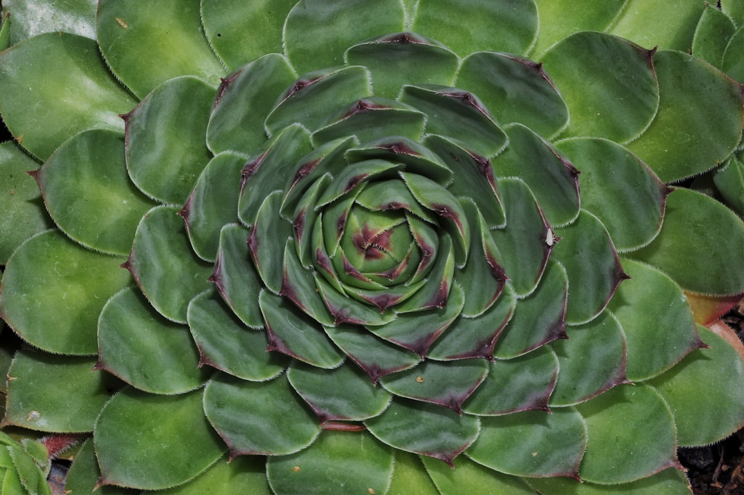 O que é a retração de Fibonacci - O que é a retração de Fibonacci? Guia completo para traders de criptomoedas