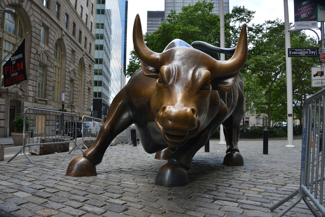 Bull market estratégias - experienced traders Bull market estratégias - experienced traders