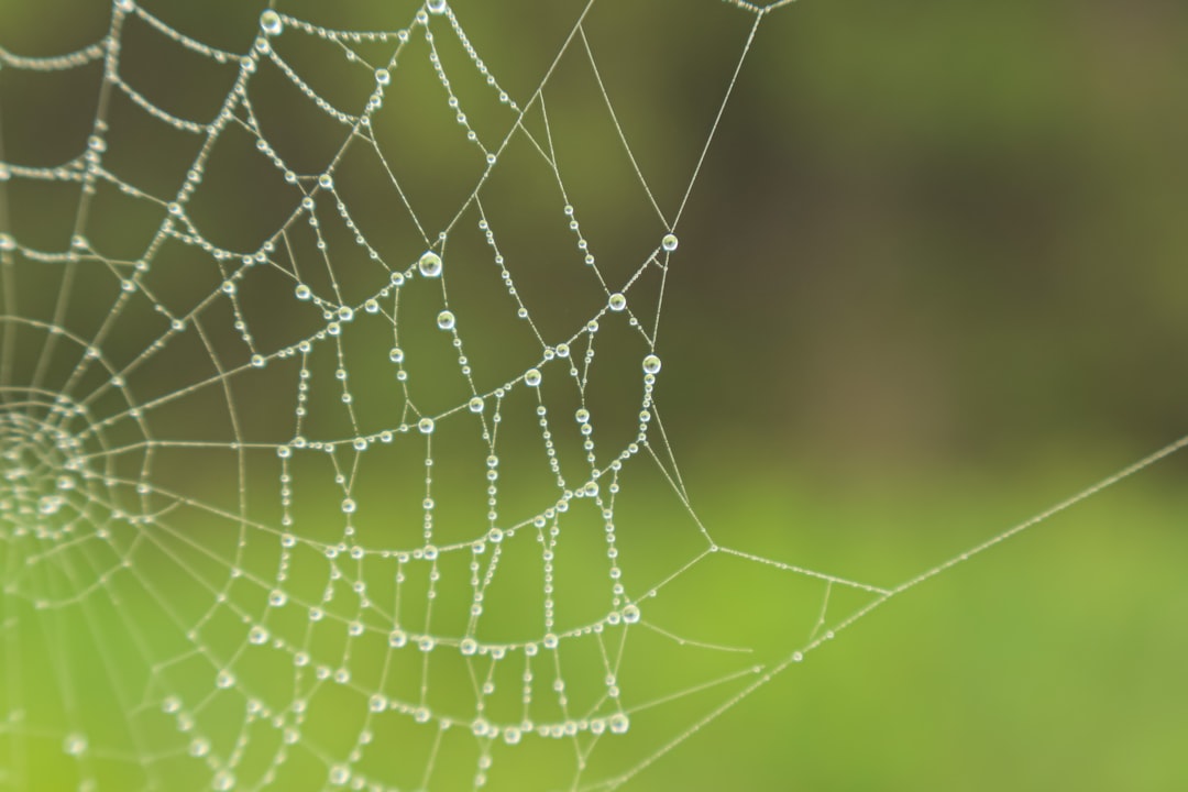 O que são as O que são as