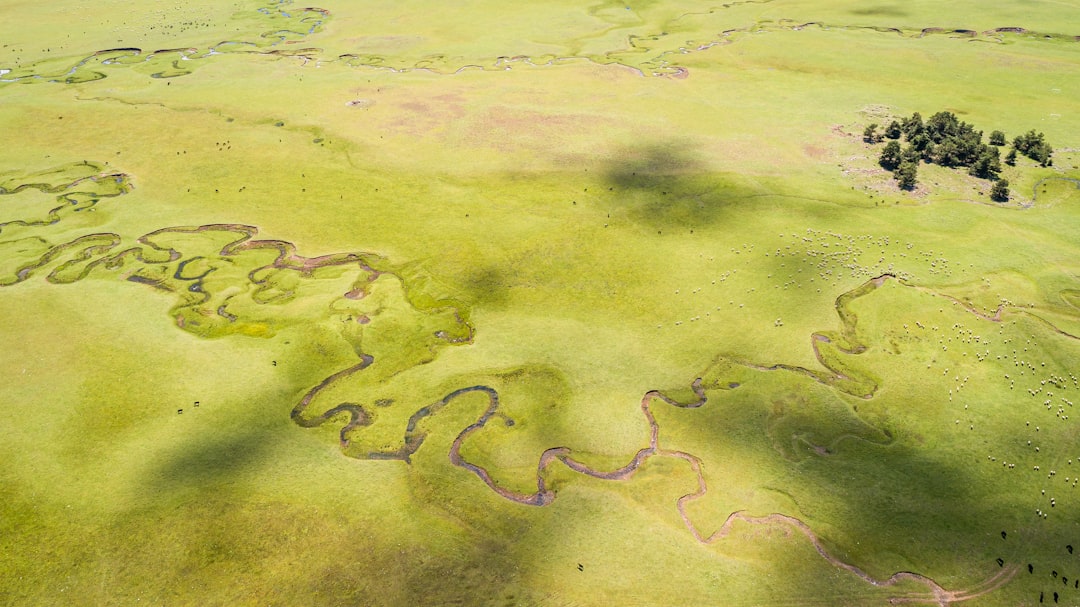 delta neutral - while strategy