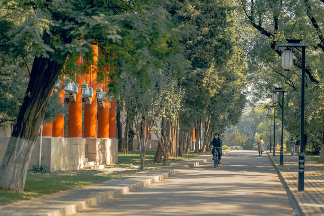 universidad chile - results frequently