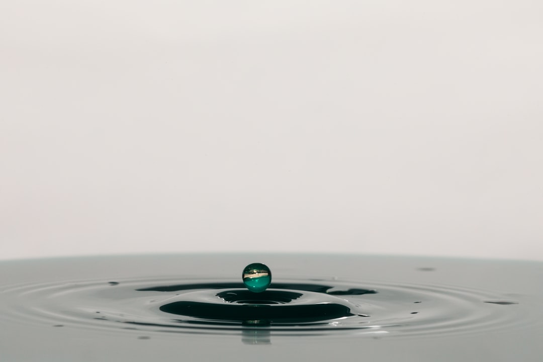 SEC vs. Ripple o que significa - dispute still