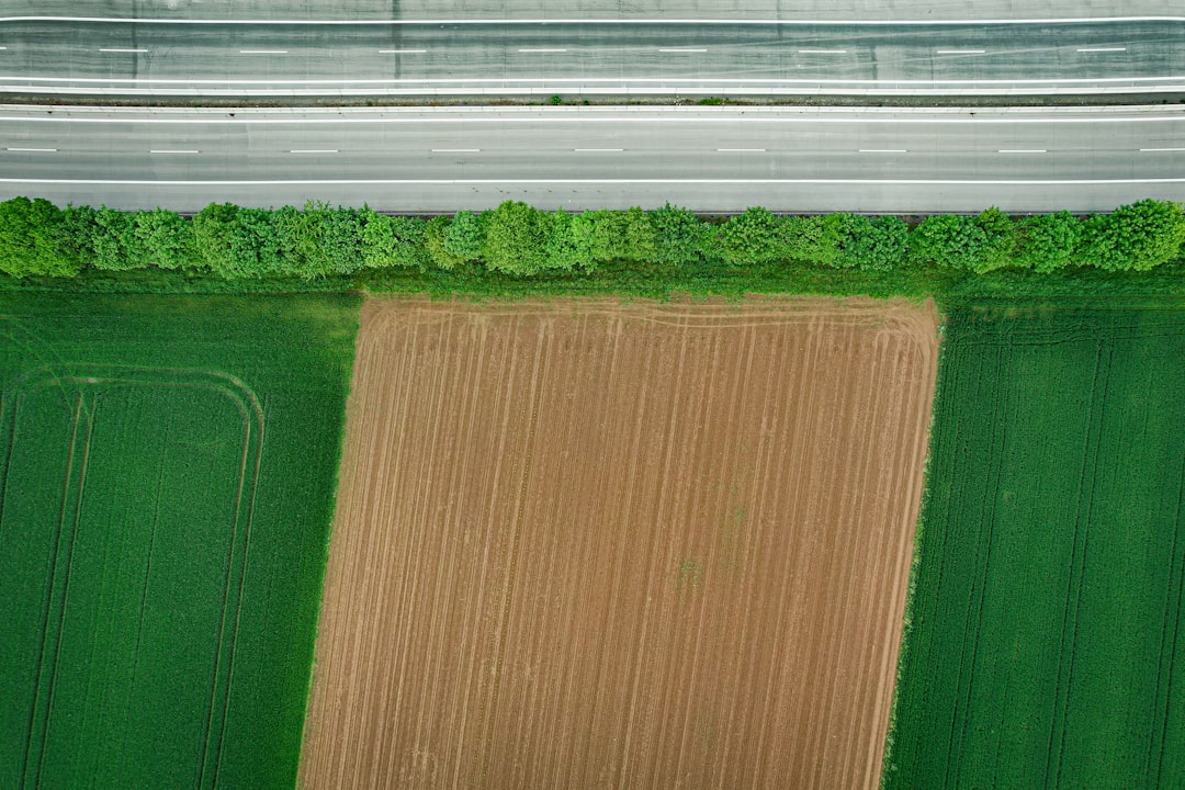 Yield farming guia para iniciantes - platforms like Yield farming guia para iniciantes - platforms like