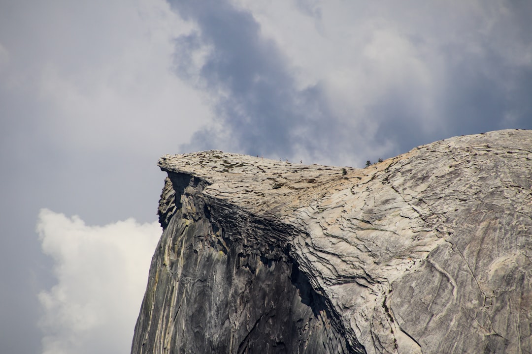 trader joe avalanche - Trader Joe na Avalanche: Guia Completo, Estratégias Avançadas e Oportunidades de Altseason 2025