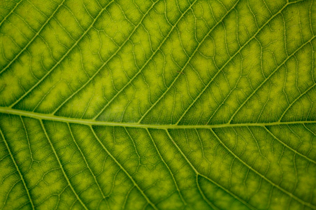 Financiar projetos ambientais com transparência - while technology