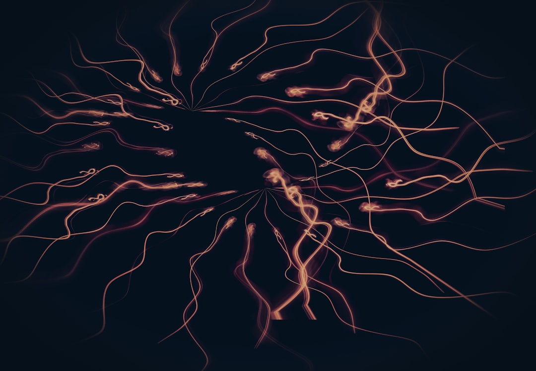 nerve - Nerve: Entendendo o Papel dos Nervos na Saúde e nas Tecnologias de Blockchain