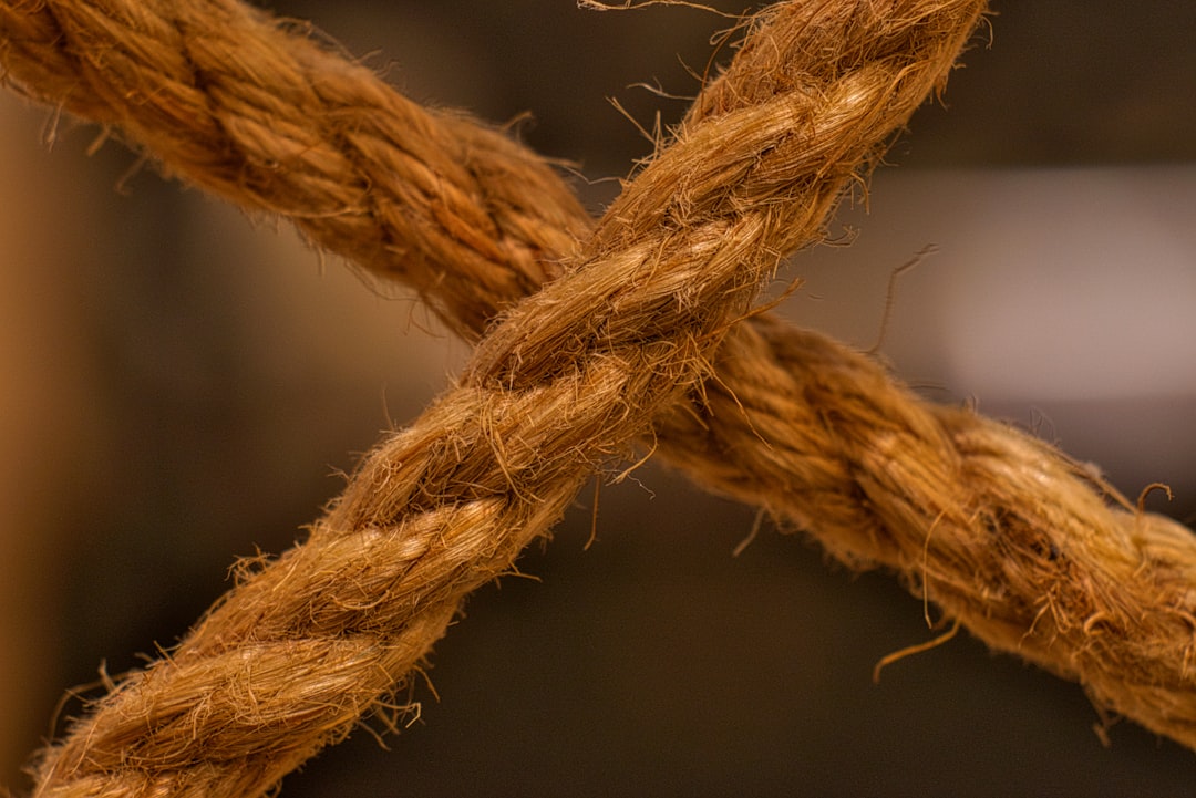 ribbon finance - experienced investors