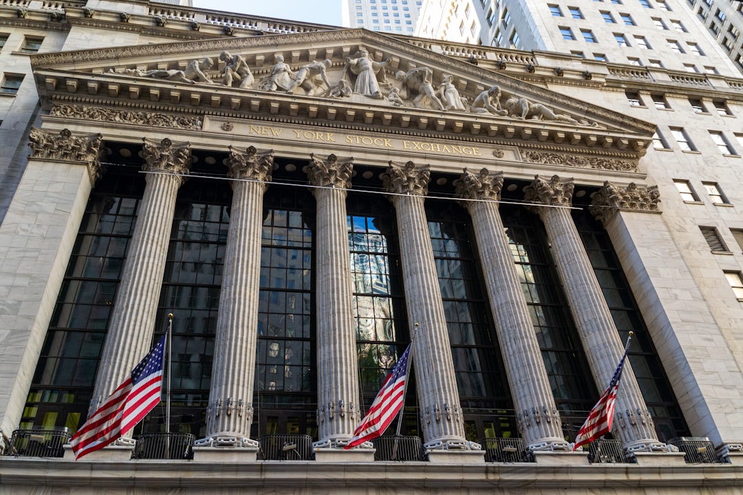 capital market line - annualized selic