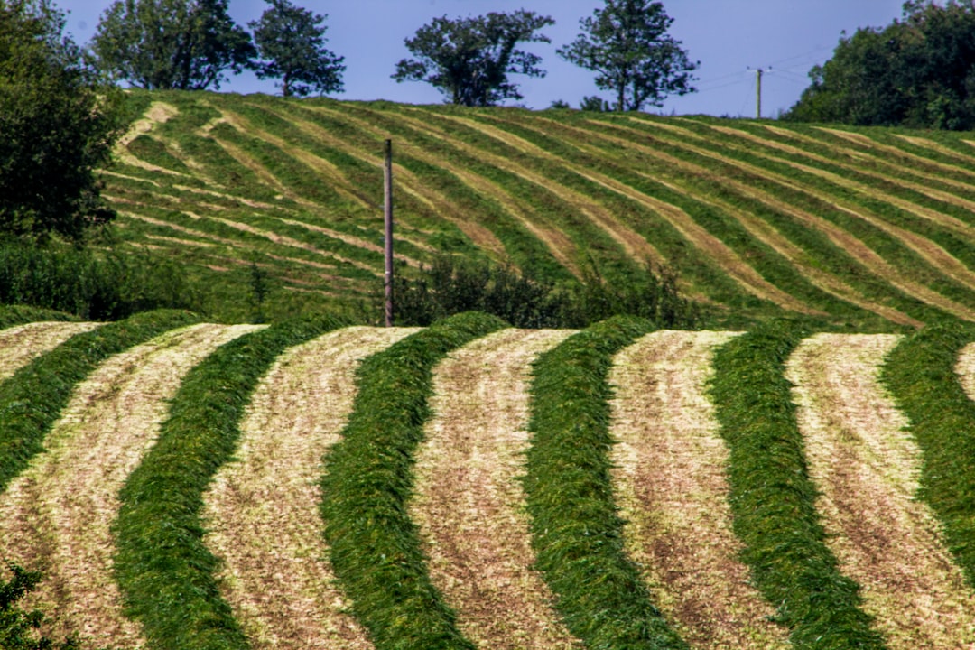 Riscos do yield farming - mitigation strategies Riscos do yield farming - mitigation strategies