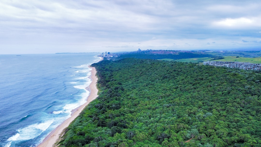 spot premium índice - brazil ecosystem