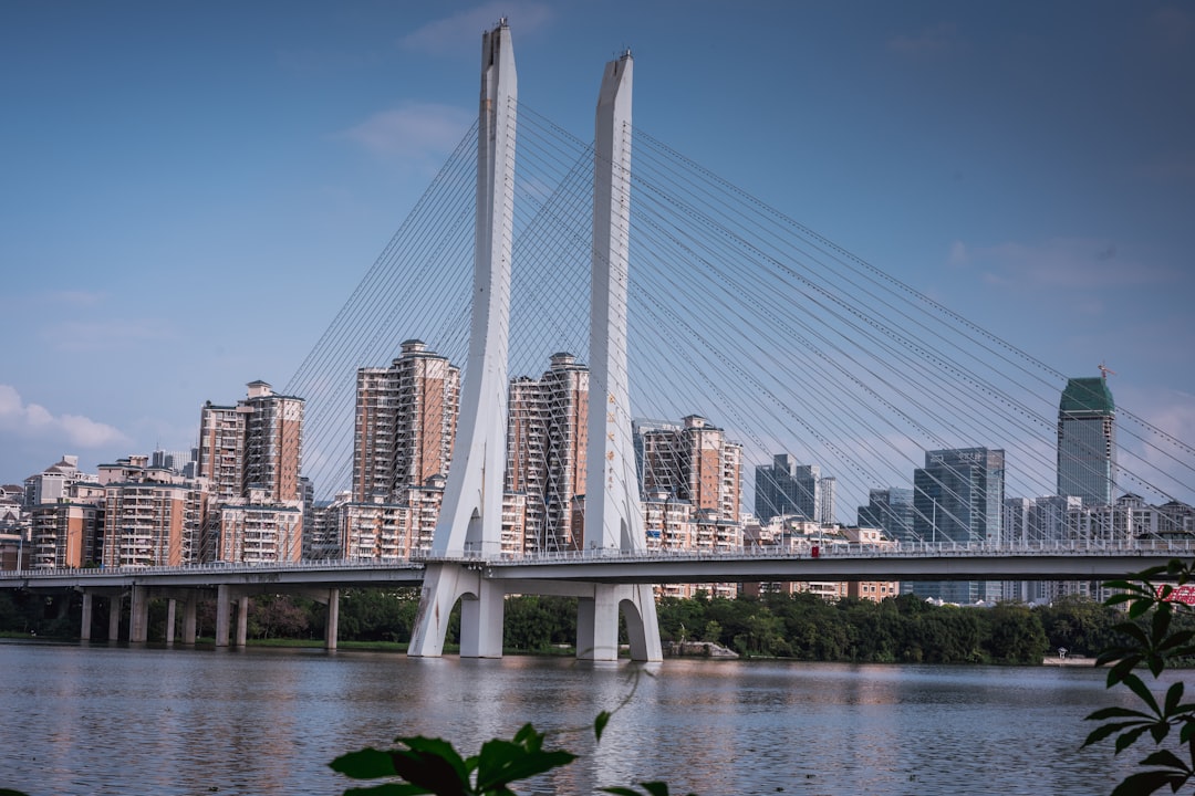 Bridges de blockchain - brazilian investors Bridges de blockchain - brazilian investors