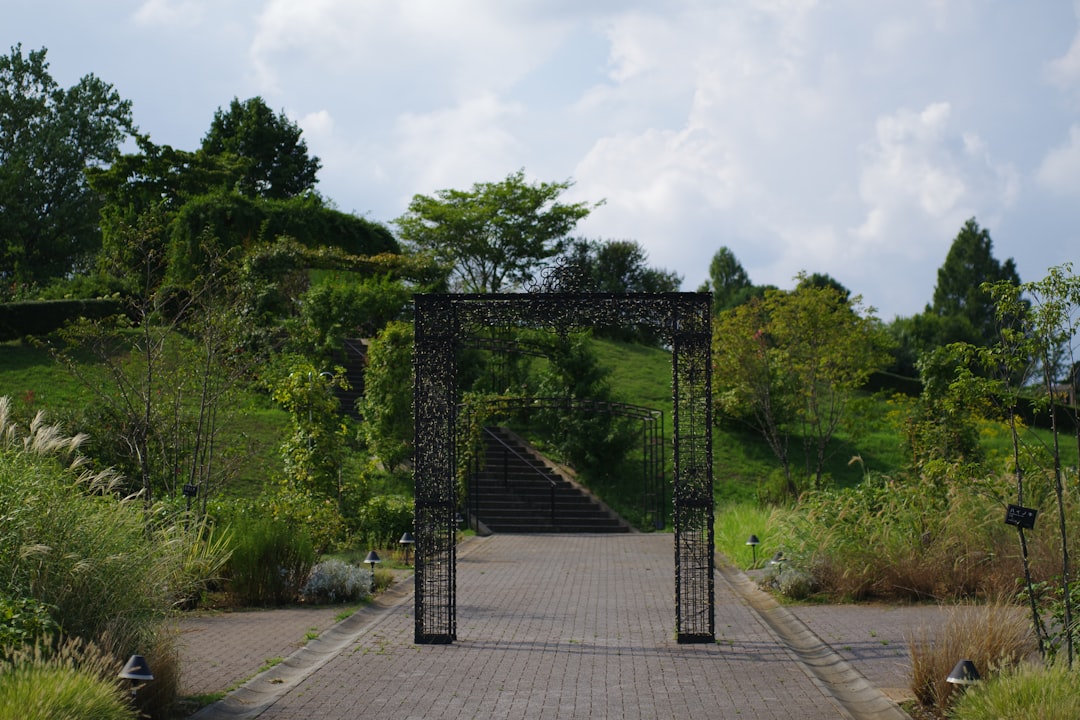 MetaMask, Rabby e a porta de entrada para a Web3 - MetaMask, Rabby e a Porta de Entrada para a Web3: Guia Completo para Usuários Brasileiros