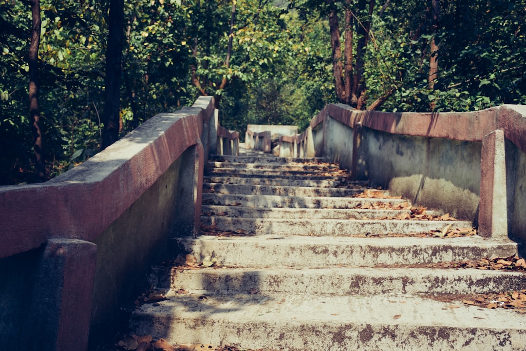 step - Step a Step: Guia Completo para Dominar Processos Cripto em 2025