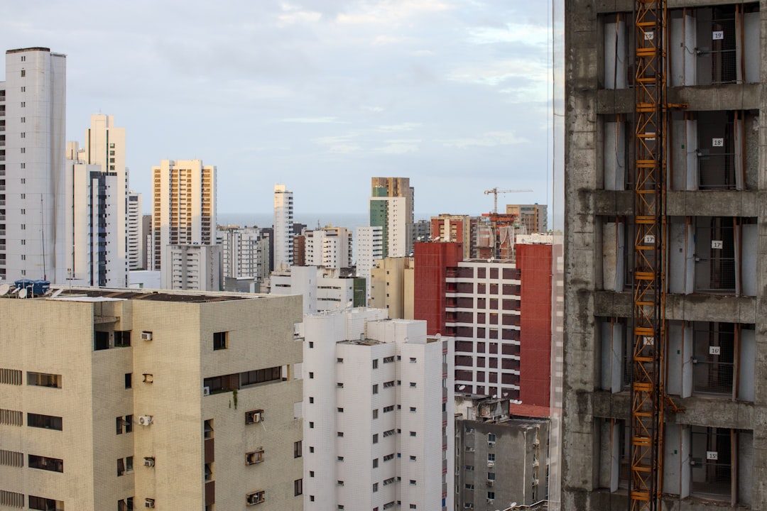 A corretora de criptomoedas ideal para brasileiros: negociação gratuita! - quot clearer