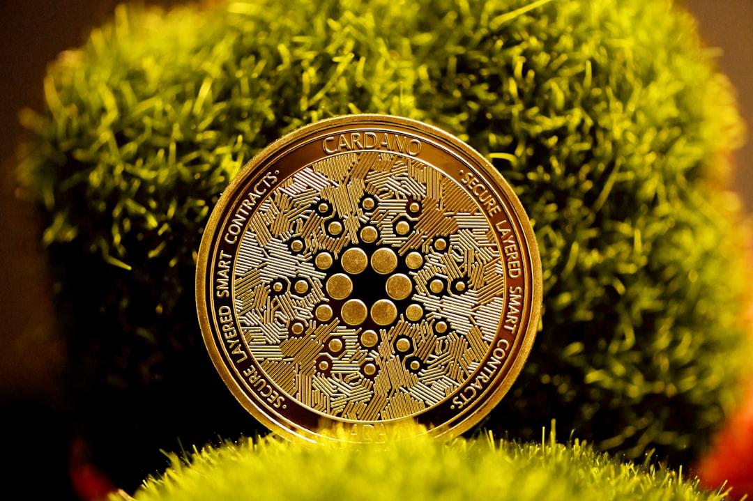 button football - federation brazil