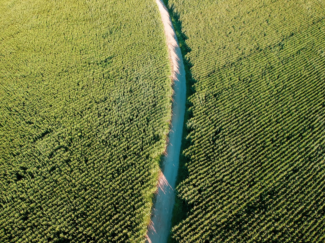 delta hedging - although concept delta hedging - although concept