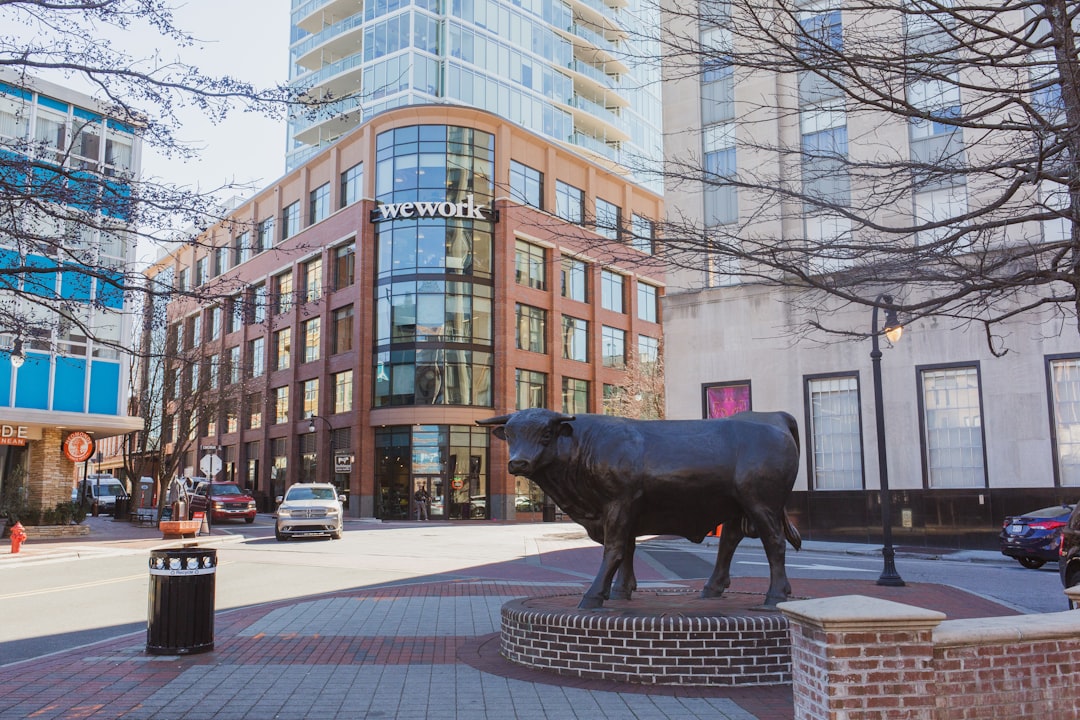 Bull market vs Bear market - 2020 2021
