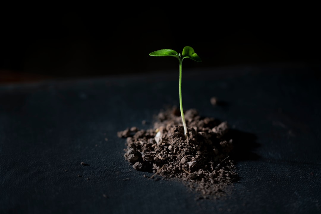 Como guardar a seed phrase com segurança - regardless method