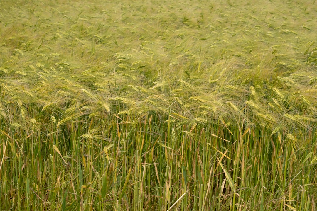 DeFi - involves yield DeFi - involves yield