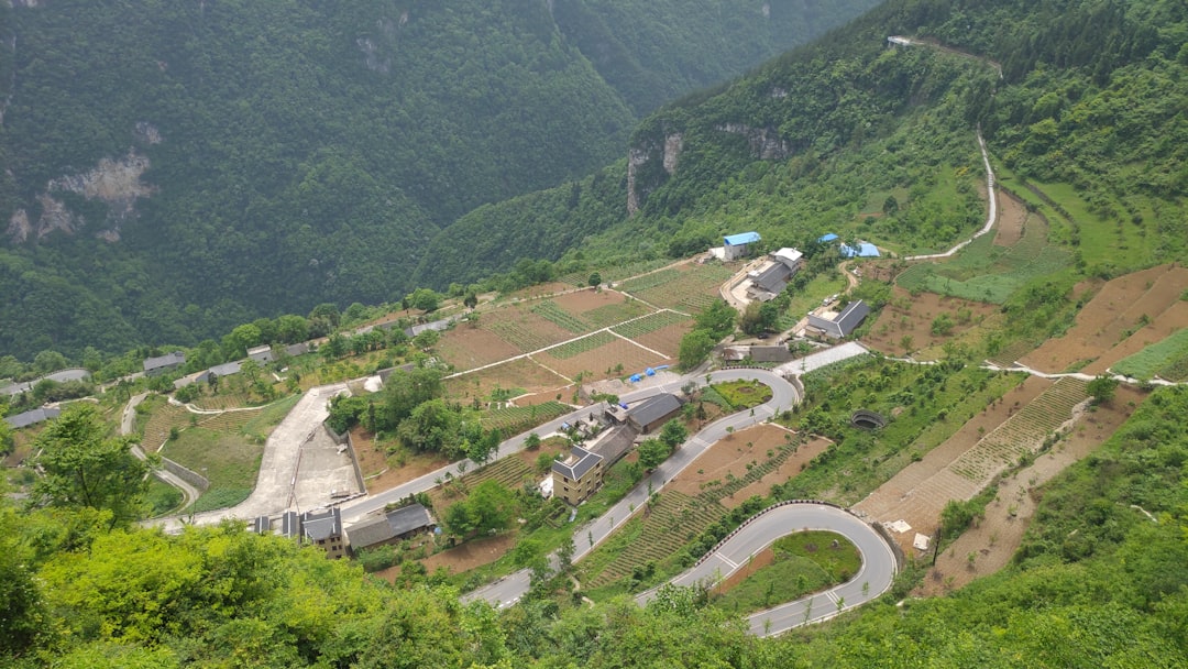 state channels - several projects