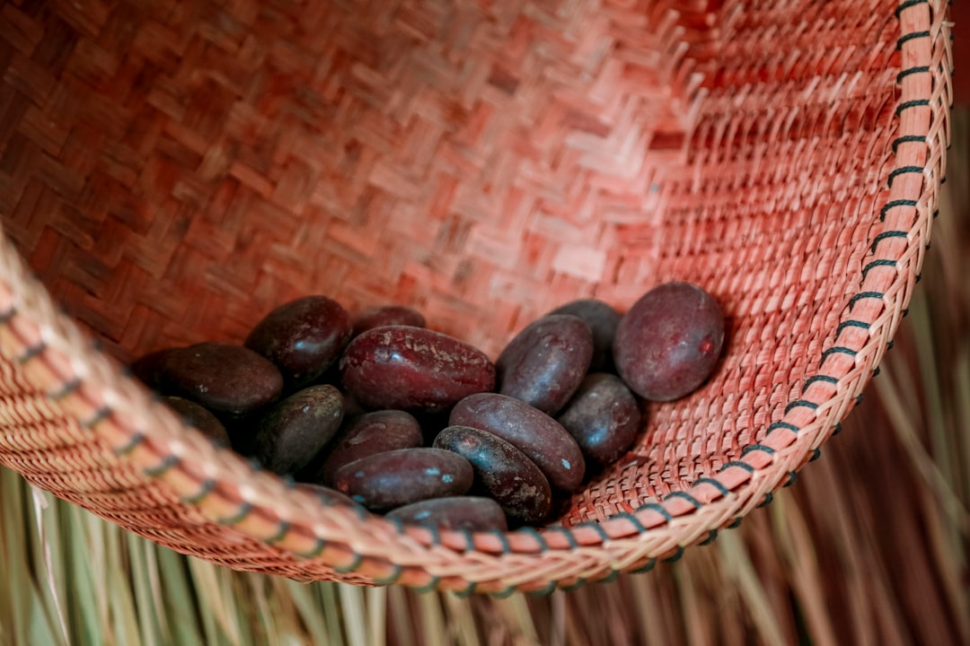 cocoa cotton - Cocoa Cotton: O Futuro Sustentável da Indústria Têxtil