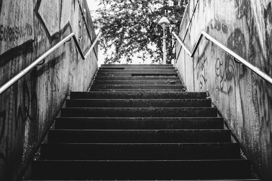 Guia Binance para Iniciantes 2024: Como Começar do Zero (Passo a Passo) - Guia Binance para Iniciantes 2024: Como Começar do Zero (Passo a Passo)