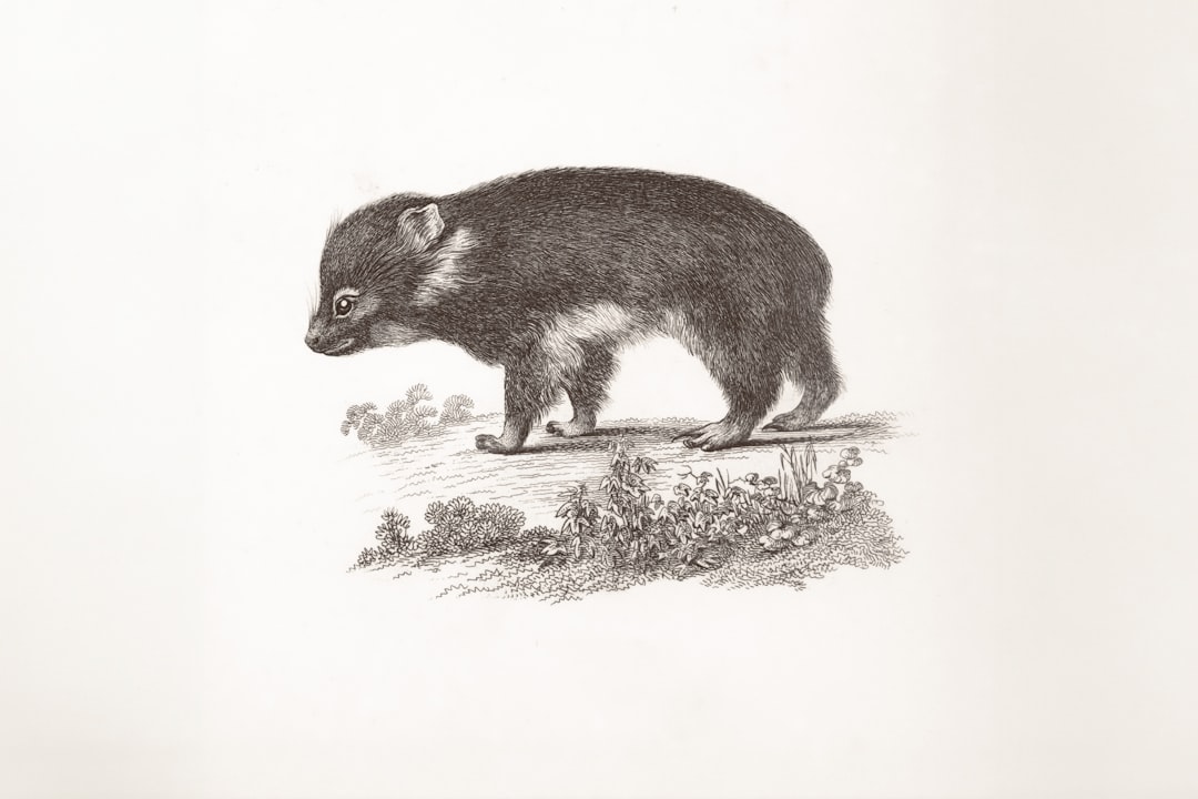 Badger DAO - Badger DAO: Guia Completo sobre a DAO de DeFi focada em Bitcoin (2025)