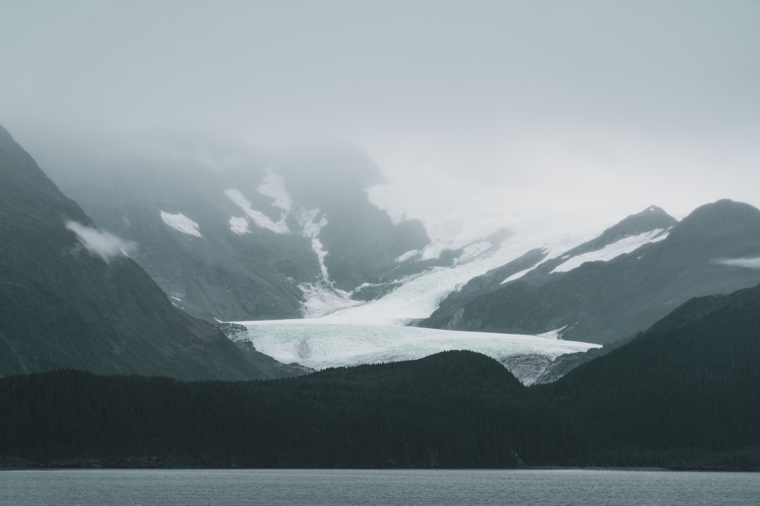 anchorage digital - while self