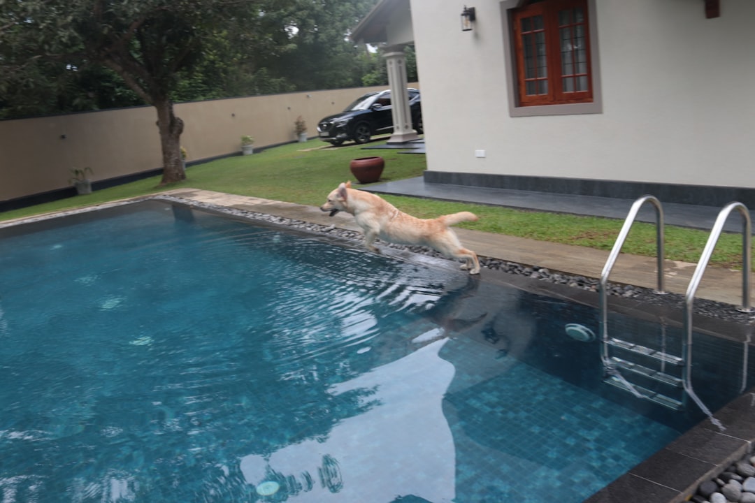 AMM - pool being AMM - pool being