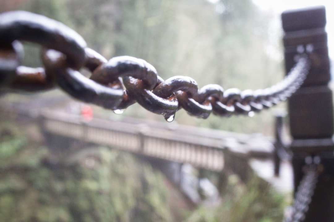 O futuro da escalabilidade on-chain - para quem O futuro da escalabilidade on-chain - para quem