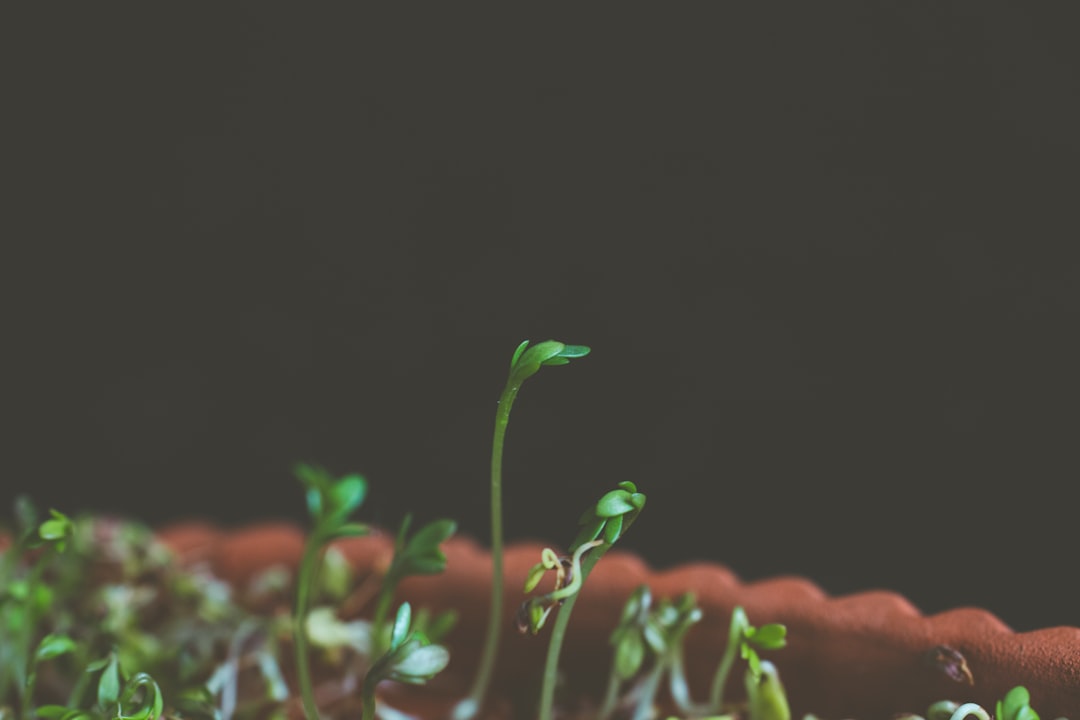 growth factor - mechanisms often