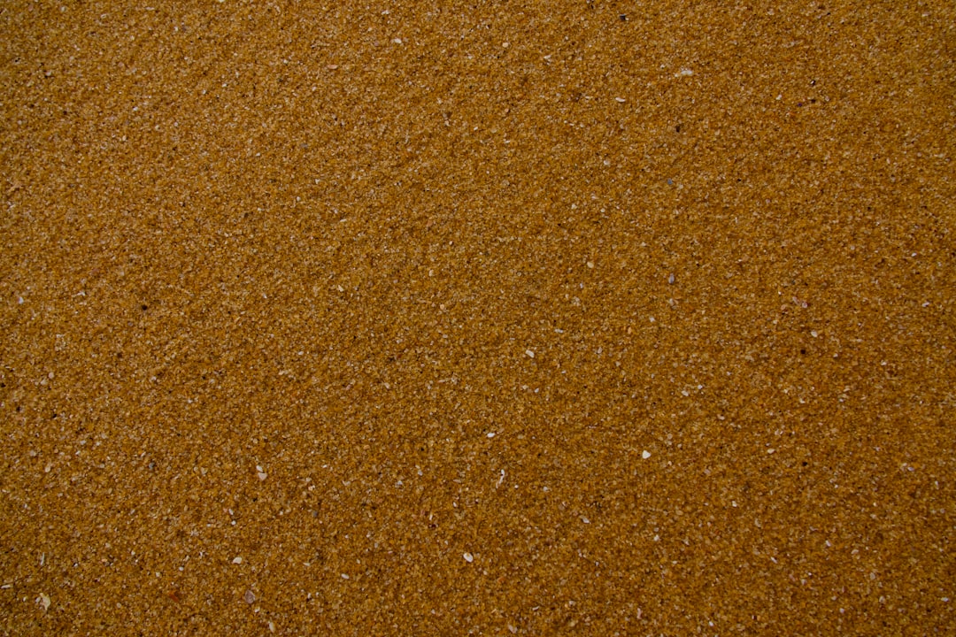 The Sandbox (SAND) - The Sandbox (SAND): Guia Completo para Entender, Investir e Criar no Metaverso