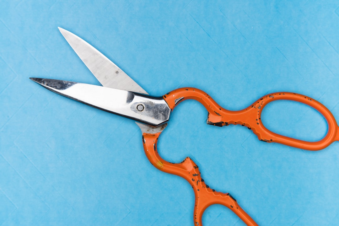 Holders de curto prazo vs. holders de longo prazo (LTH) - tools essential