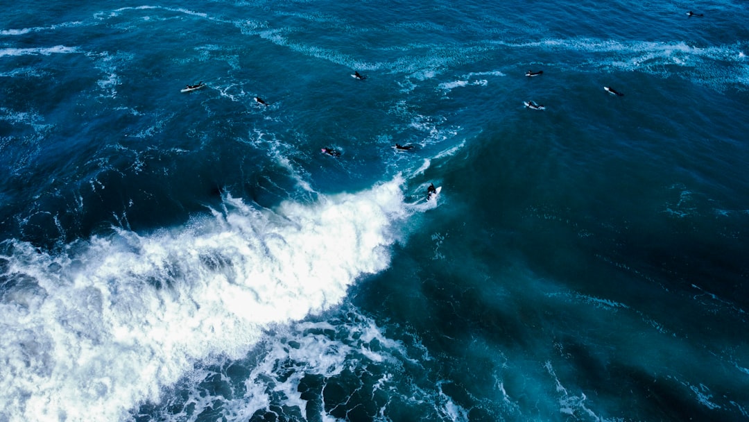 Mercados de dados descentralizados (Ocean Protocol) - data tokenization