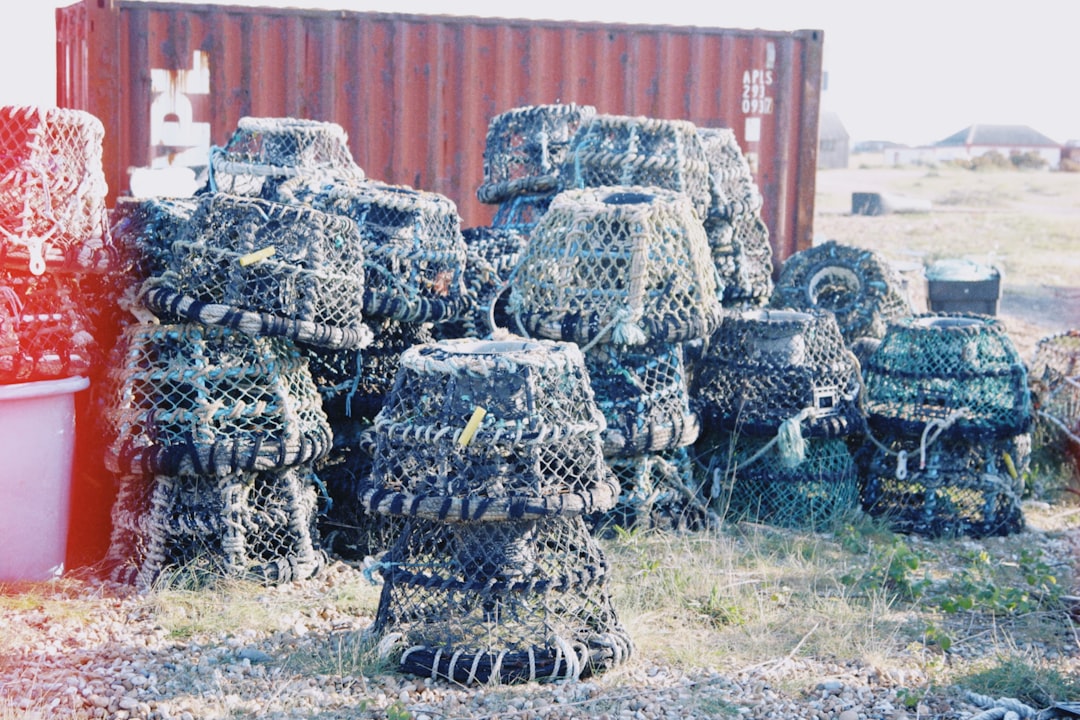 fortified - combine wrapped fortified - combine wrapped