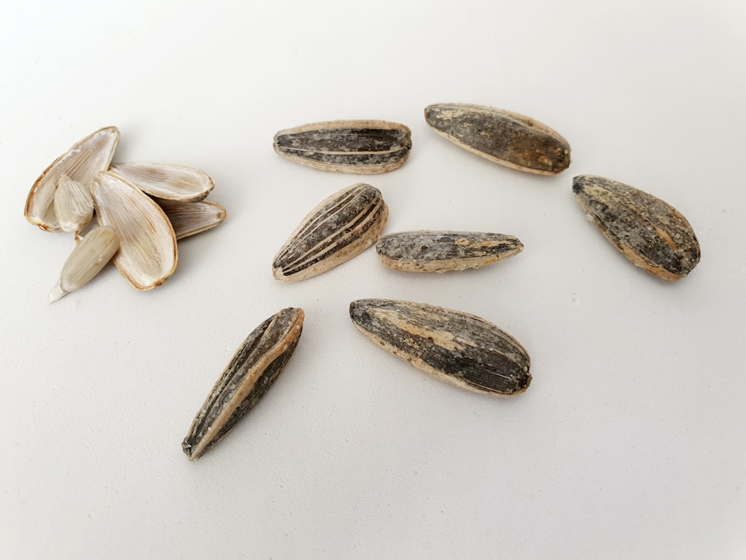 Como guardar a seed phrase com segurança - Como Guardar a Seed Phrase com Segurança: Guia Completo para Proteger seus Criptos
